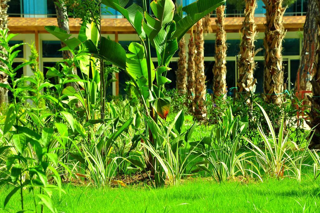 Maya World Hotel All Inclusive Сіде Екстер'єр фото